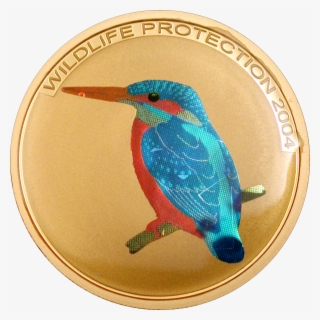 Kingfisher - Ruby-throated Hummingbird