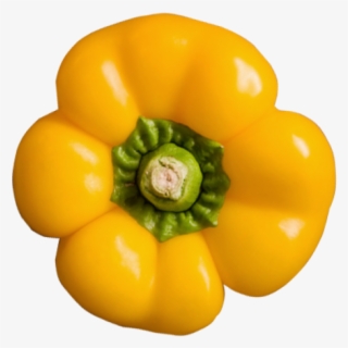 Yellow Pepper