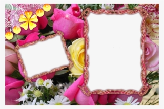 Photo Frames Images Frame Hd Wallpaper And Background