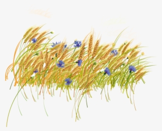 Haystack Clipart Hay Grass - Clip Art