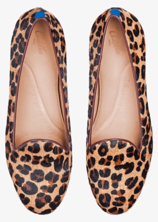 Previous - Ballet Flat