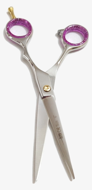 Another Sort Of Hairdressers Shears Are Thinning Scissors - Scissors