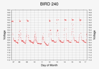 Bird Last240 - Number