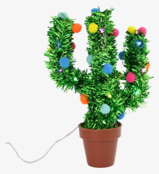 Usb Pom Pom Cactus - Houseplant