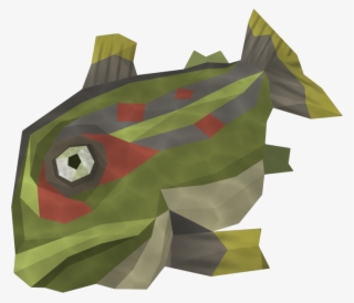 Detailed - Bony-fish
