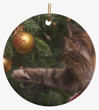 New Kitty Christmas Tree Holiday Cat Ornament New - Открытка Со Старым Новым Годом 2019
