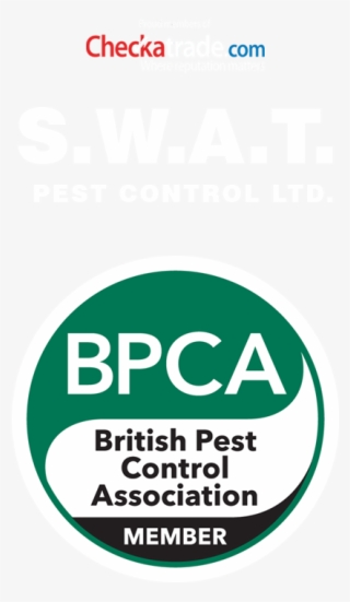 Residential Pest Control By Swat Pest Control Ltd - Bpca