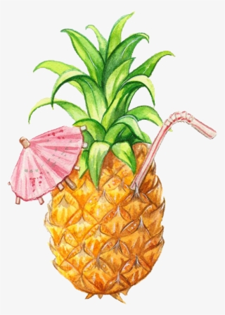 Illustration Pineapple - Pineapple Illustration
