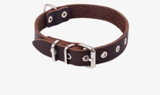 Dog Collar 2,2cm - Great Dane