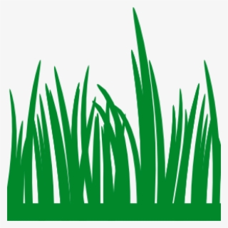 Grass Vector Png Transparent Image
