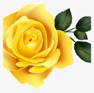 Yellow Rose Clipart 15 Rose Clipart Yellow Rose For - Transparent Purple Rose Png