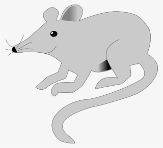 Mice Clipart Gray Mouse - Muroids