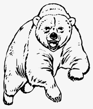 This Free Icons Png Design Of Big Bear