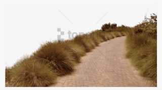 Free Png Download Dirt Road Png Png Images Background - Photoshop Stock Deviantart Png