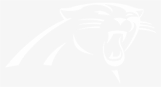 Carolina Panthers - Google Logo G White