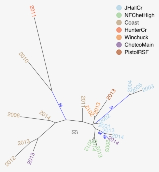 Neighbor Joining Tree Based On Nei's Distance Of The - Diagram