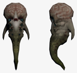 Download Zip Archive - Seahorse