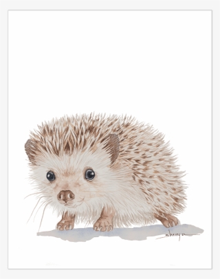 Baby Hedgehog Wall Art - Hedgehog Framed Print
