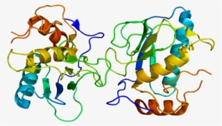 Mmp 13 Crystal Structure