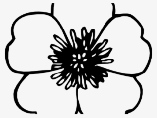 Morning Glory Clipart Mogra - Clip Art White And Black Spring Flowers