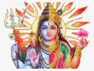 2 Mukhi Rudraksha Ardhnarishwar - Half Shiva Half Parvati