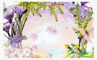 Spring Flower Dividers Transparent - Snow Crocus