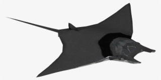 Giant Mobula Ray - Freshwater Whipray