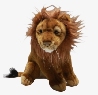 Roar - Masai Lion