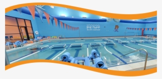 Bear Paddle Swim School Is A Month To Month Year Round - Leisure Centre