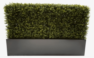 100cm Grey Planter - Hedge