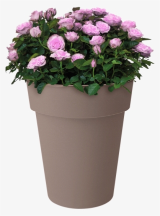 Home > Collection > Green Basics Top Planter High - Flowerpot
