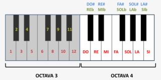 Octavas 3 Y 4 De Un Teclado - Piano Keyboard Transparent Png