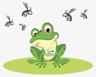Celebrate Independence From Mosquitoes This 4th Of - Cartoon Green Frog