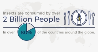 Tradition Infographic - Graphics