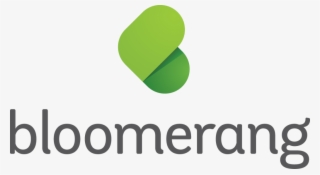 March 25, - Bloomerang Logo
