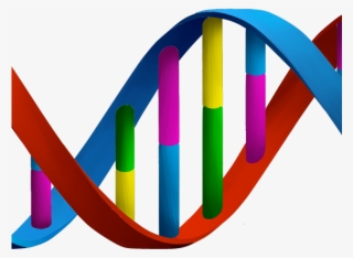 Dna Structure Clipart Dna Strand - Dna Png
