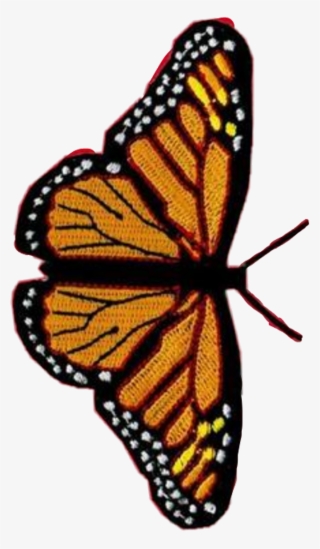 #butterfly #vsco #monarch #edits #pretty #remix #aesthetic - Wildflower Phone Case Butterfly