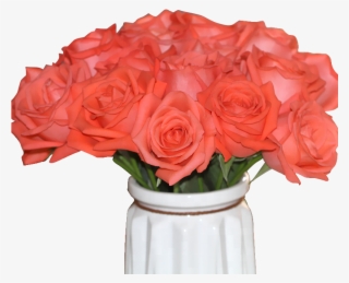 High Quality Fresh Cut Flower Rose From Kunming China - Garden Roses