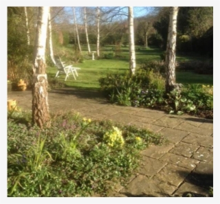 Cheltenham- Spacious Cotswold Home & Garden - Backyard