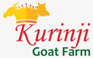 We Trade A Large Variety Of Goat Breeds