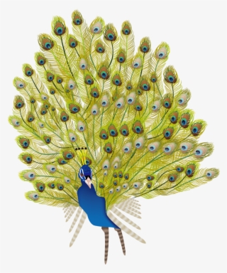 Peafowl