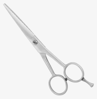 Professional Barber Scissor Most Popular In Our Range - Scissors
