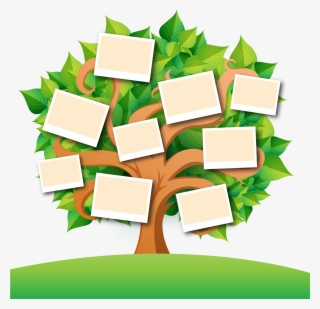 Family Tree Transparent Images Png - Family Tree Png Vector