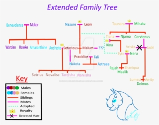 By Nightcorescorner D S N Png Freyacatoria - Family Tree Extended Family