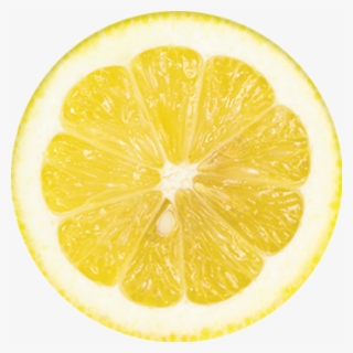 Summer Collection - Meyer Lemon