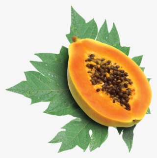 Do You Want More Informations About This Crop - Vitamin A In Papaya