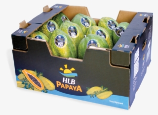 Papaya Formosa - Formosa - Packaging And Labeling