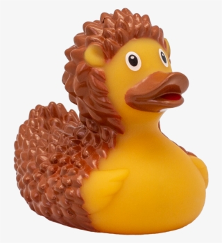 Hedgehog Rubber Duck - Bath Toy