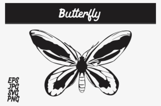 Butterfly Silhouette Svg Vector Image Graphic By Arief - Batik Mega Mendung Vector