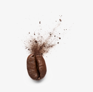 Coffee-bean - Still Life Photography
